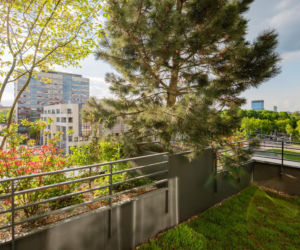 Damrota Garden - apartamentowiec w Katowicach z drzewami na fasadzie i dachu - czerwiec 2026