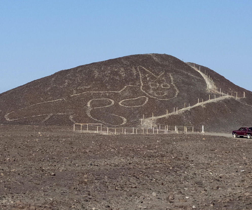 Niezwykłe odkrycie! Gigantyczny rysunek kota na płaskowyżu Nazca w Peru [ZDJĘCIA]