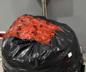 Drops wyniuchał 82 kg marihuany. Wielki przemyt na Lotnisku Chopina