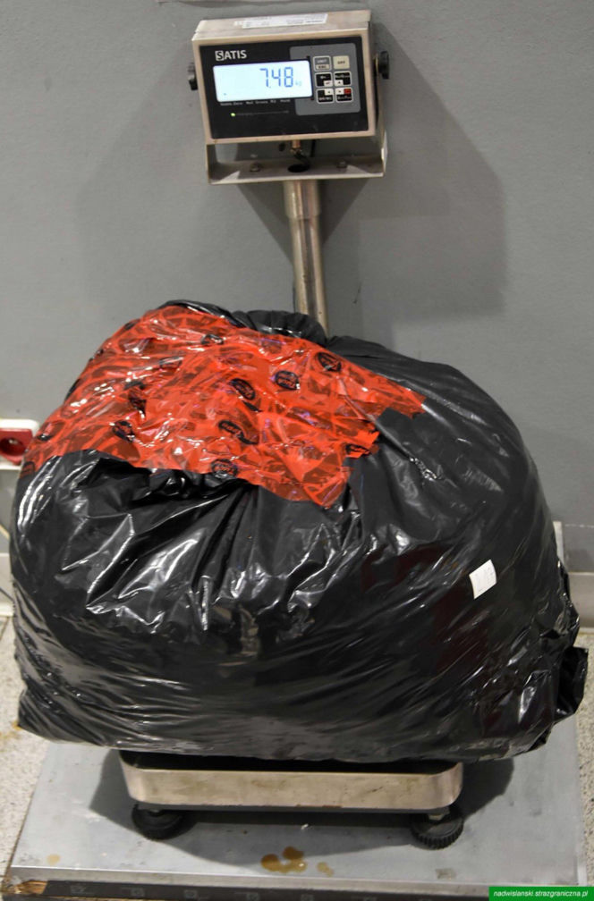 Drops wyniuchał 82 kg marihuany. Wielki przemyt na Lotnisku Chopina