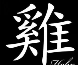 Kogut