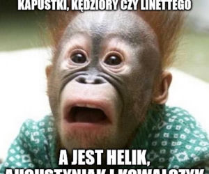 Reakcja internautów na powołania Sousy