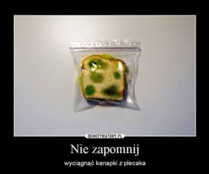 Najlepsze memy z okazji zakończenia roku szkolnego! 