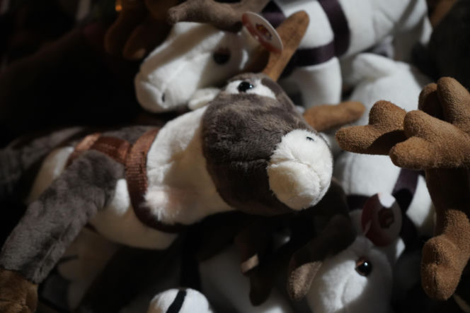 Wyjazd VOX FM do Laponii