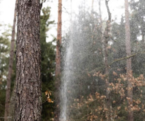 Gejzer w Puszczy Knyszyńskiej na Podlasiu [ZDJĘCIA]