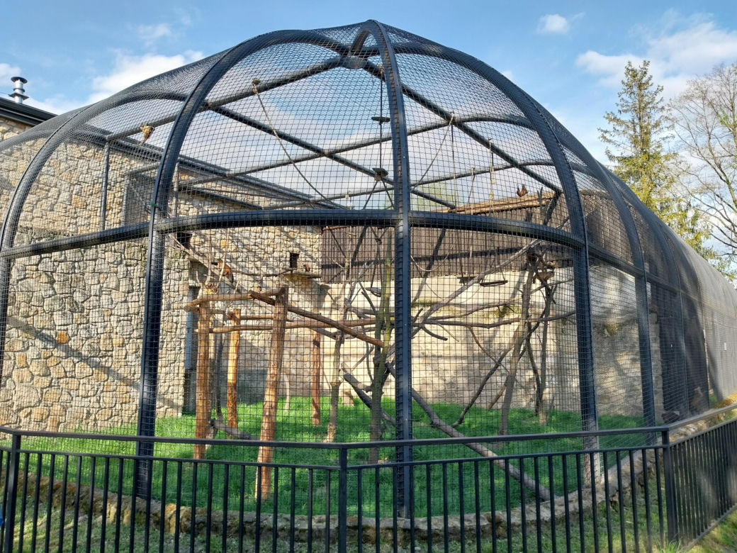Wiosenny spacer w zamojskim zoo