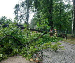 Drzewa na drogach i budynkach. Zniszczone namioty harcerzy. Walka z żywiołem  na Warmii i Mazurach