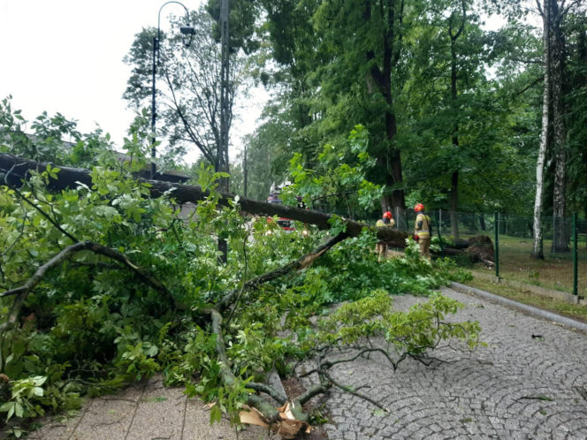 Drzewa na drogach i budynkach. Zniszczone namioty harcerzy. Walka z żywiołem  na Warmii i Mazurach