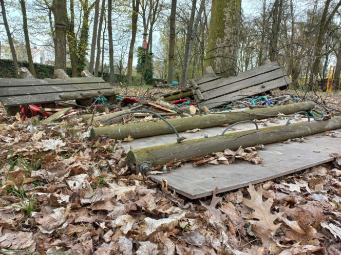 Rozbiórka Parku Linowego Tarzan w Parku Tysiąclecia w Lesznie