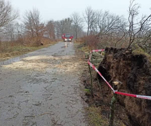 Uszkodzony radiowóz, zalania, połamane drzewa. Wichury w pow. iławskim