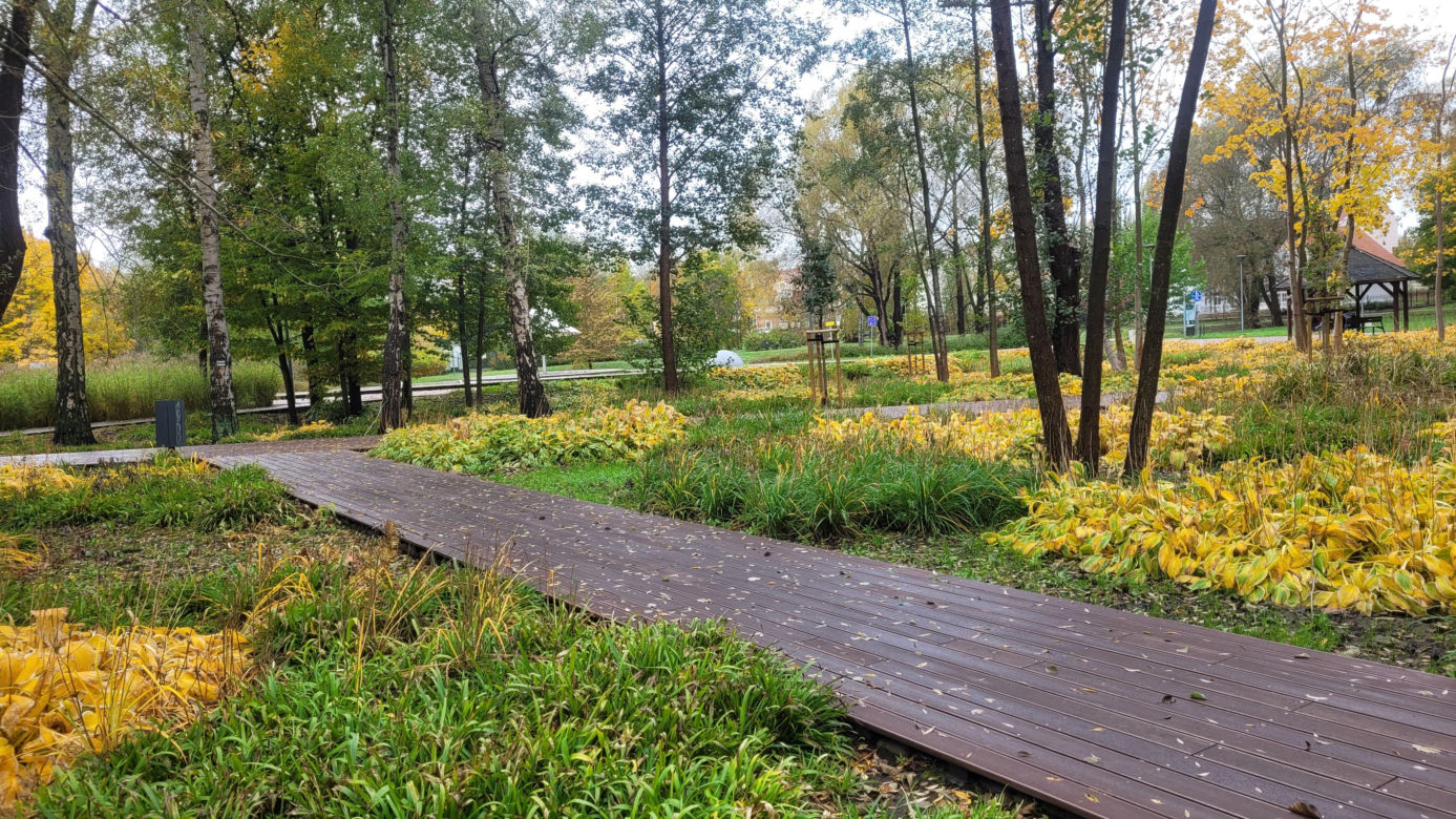 To najlepszy park w Olsztynie na jesienny spacer. Wyboru dokonała sztuczna inteligencja