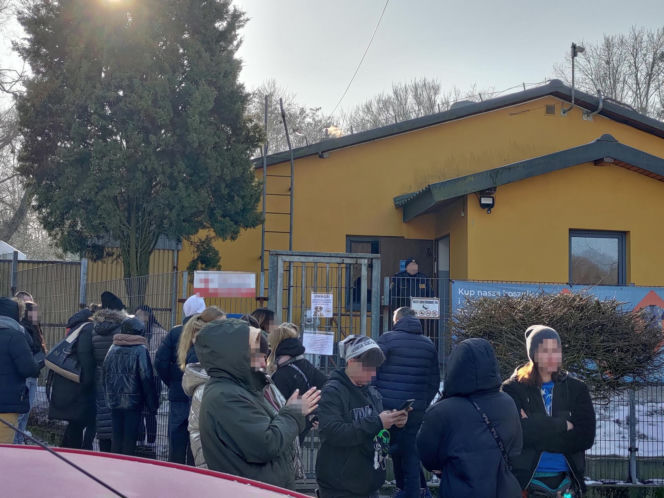 Zamieszanie w schronisku dla zwierząt w Bytomiu