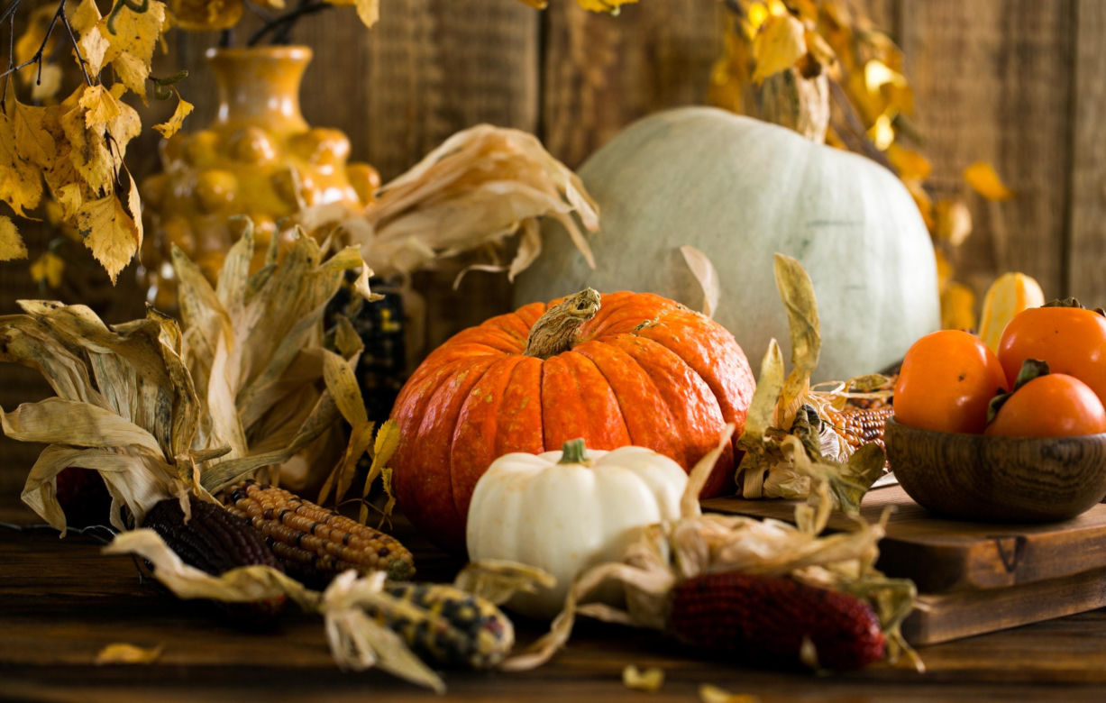 Straszne dekoracja na Halloween. Zobacz zdjęcia