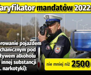 Taryfikator mandatów 2022 