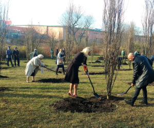 Katowice: 100 dębów na 100-lecie niepodległości. Drzewa zostały zasadzone na os. Tysiąclecia [ZDJĘCIA]