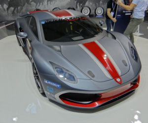 Arrinera Hussarya 