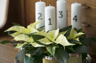 Cztery świece, kilka gałązek – efekt? WOW! Tak zrobisz idealny wieniec na Adwent