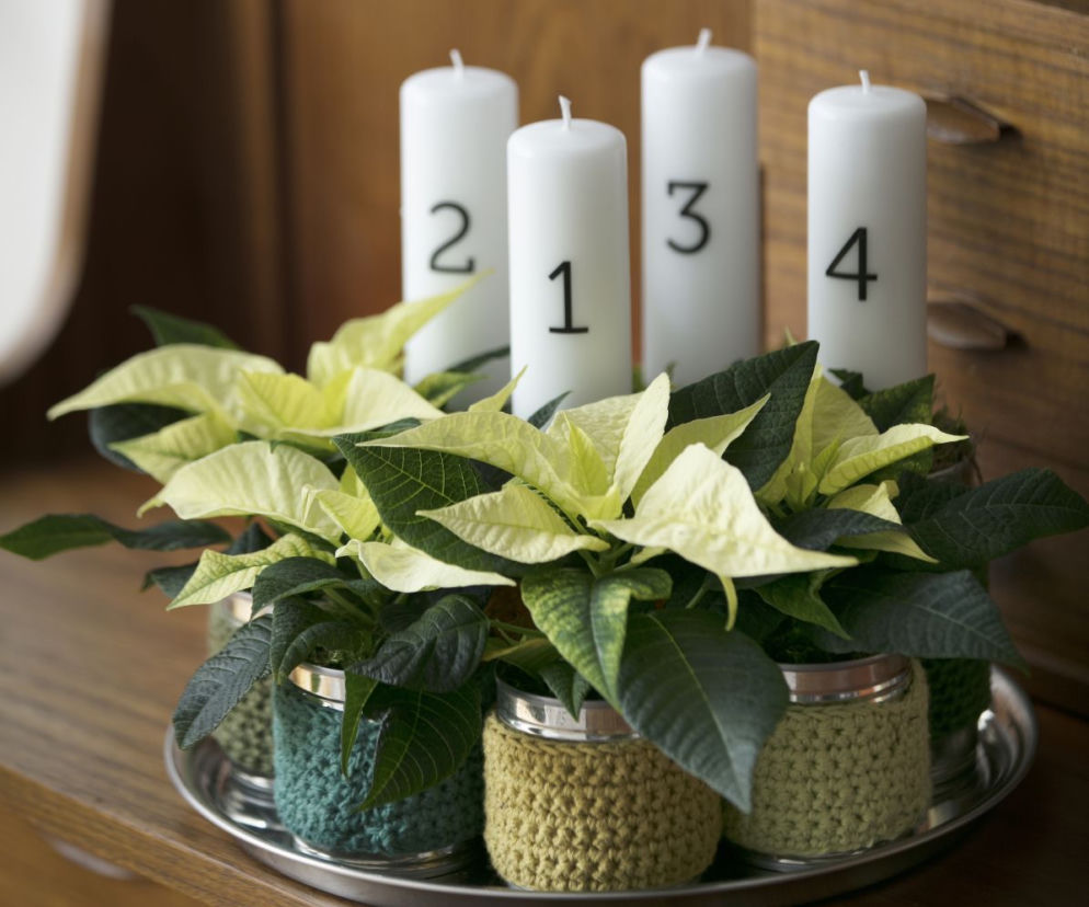 Cztery świece, kilka gałązek – efekt? WOW! Tak zrobisz idealny wieniec na Adwent