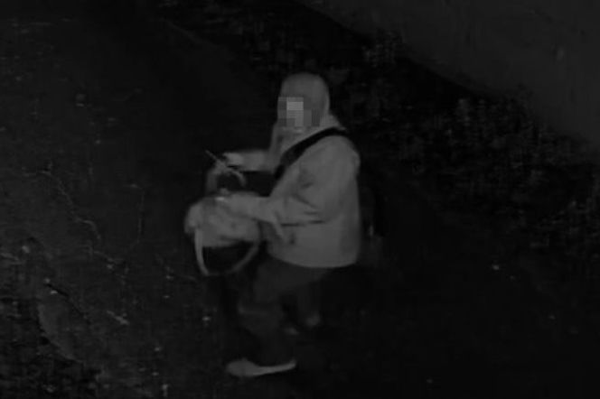 Napadł na kobietę i pociął jej twarz. Napastnik z Kórnika zatrzymany