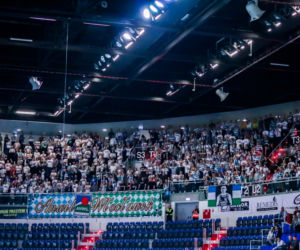 Polski Cukier Toruń - Anwil Włocławek 80:89