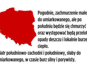 Biomet 2 czerwca 2013