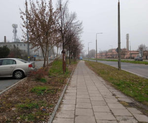 Park kieszonkowy w Siedlcach przy ul. Jagiełły