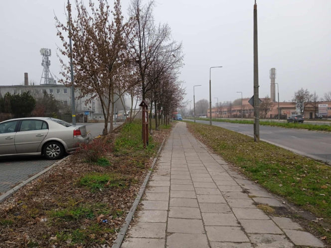 Park kieszonkowy w Siedlcach przy ul. Jagiełły