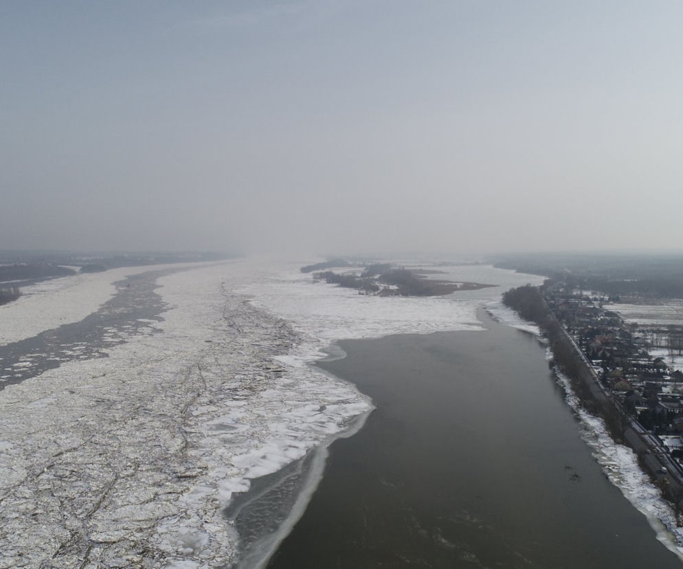 Wisła na wysokości Woli Brwileńskiej, 23.02.2021 r.