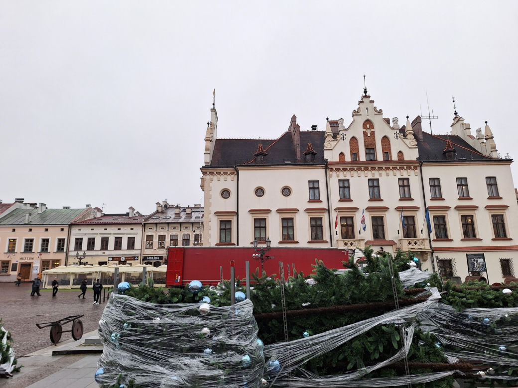 Na rzeszowskim Rynku rozpoczął się montaż świątecznej choinki 