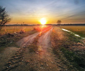 Wiosna na Podlasiu