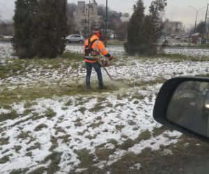 Absurd w Będzinie. Służby kosiły zmrożoną trawę? 