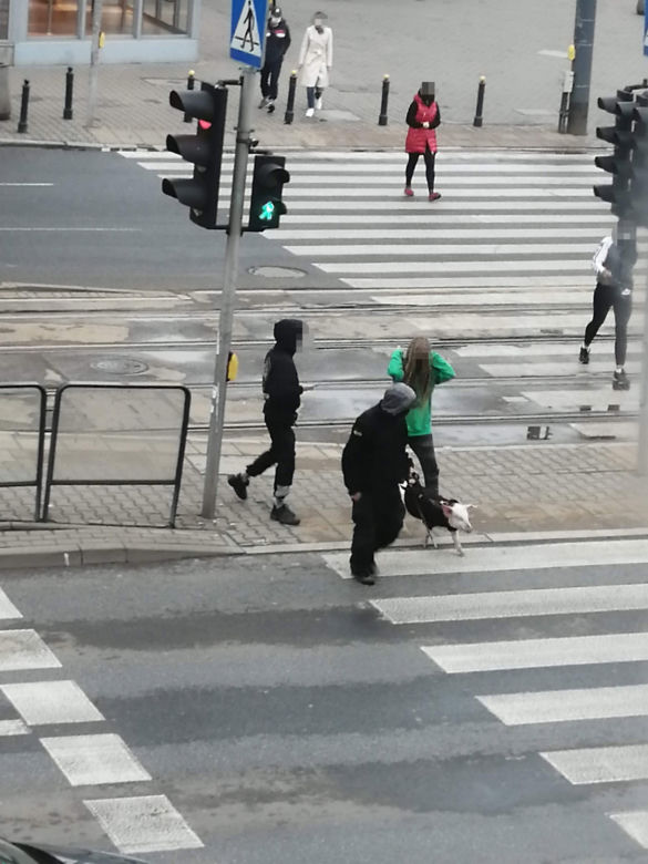 Złodziej osatni raz widziany był w okolicy kina Femina