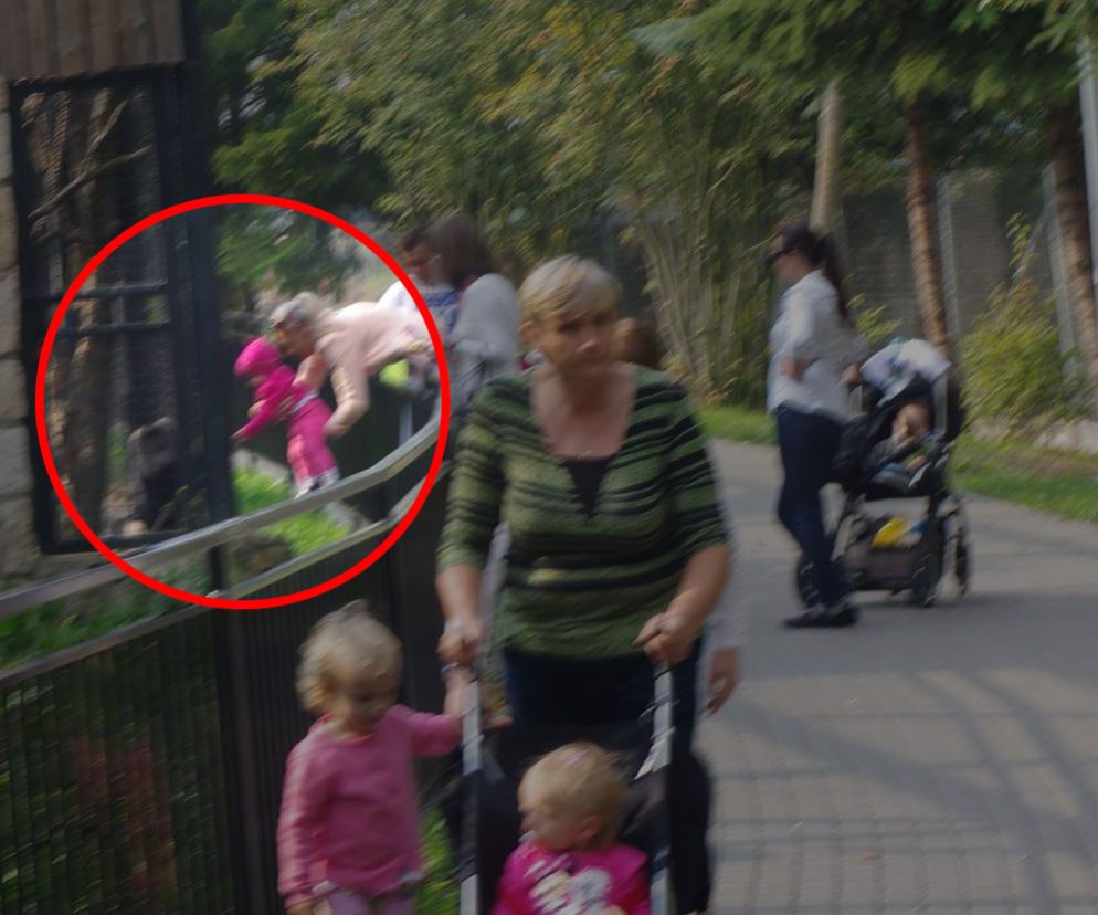 Matka przekłada dziecko przez ogrodzenie