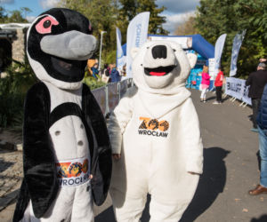 Wild Run 2019. Znamy zwycięzców charytatywnego biegu we wrocławskim zoo
