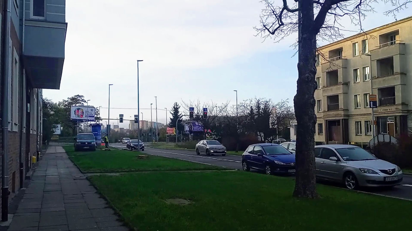 Okazałe drzewa na Turzynie poszły pod topór