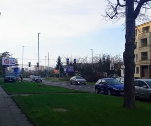 Okazałe drzewa na Turzynie poszły pod topór