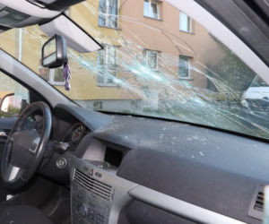 Wandal w rękach policji