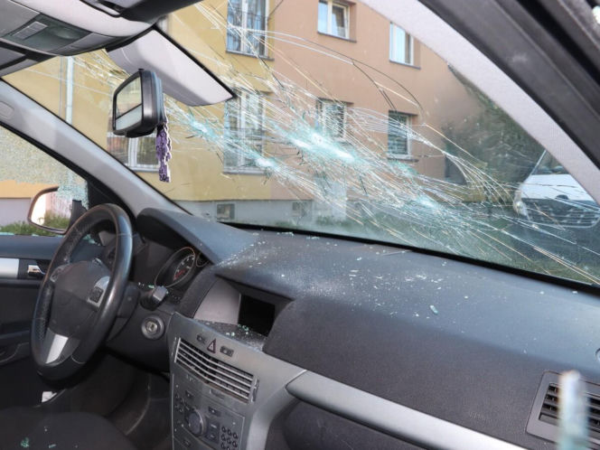 Wandal w rękach policji