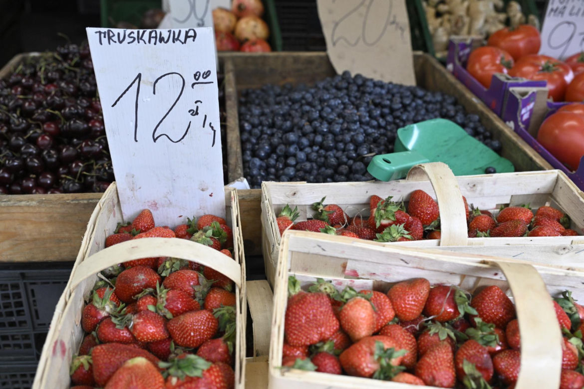  Ceny nowalijek na warszawskich bazarach szokują. Byliśmy i sprawdziliśmy ile trzeba zapłacić