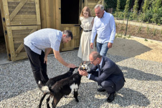 Kózki w parku w Kazimierzu Biskupim