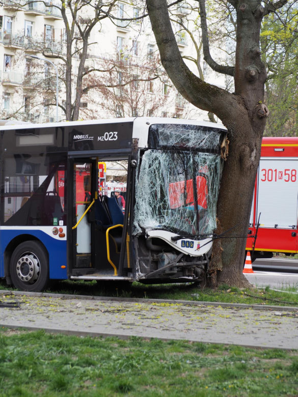 Autobus miejski wbił się w drzewo! Kilkanaście osób rannych