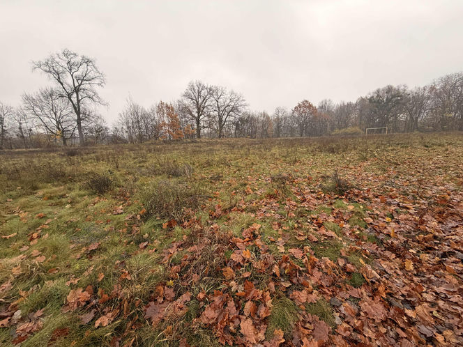 Boisko przy grudziądzkim Rolniku
