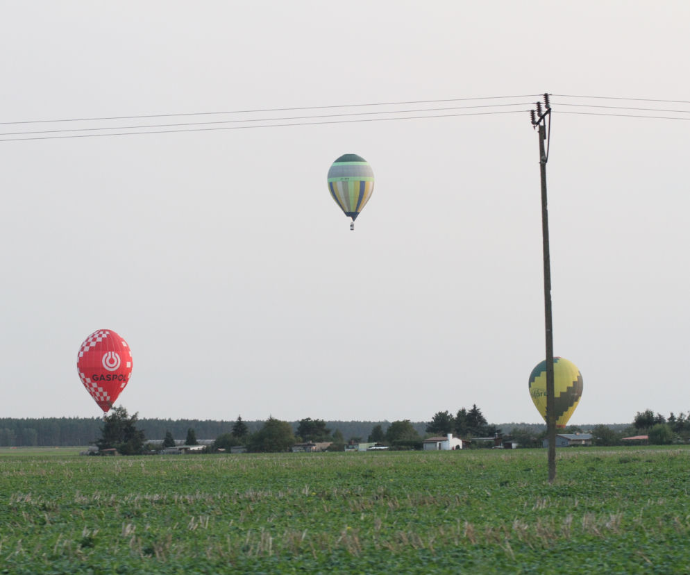 balony