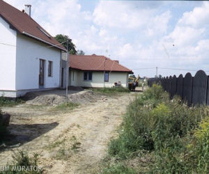 Zakładanie ogrodu