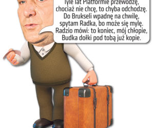 Szopka Schetyna