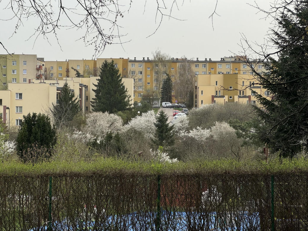 Wiosna w Lublinie rozkwitła kolorami! 
