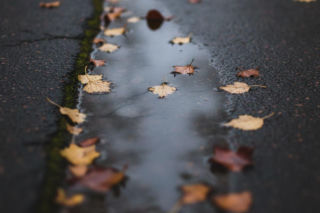Jeden dzień popsuje pogodę we Wrocławiu. Prognoza na weekend zapowiada dużą zmianę