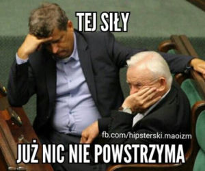 Wybory parlamentarne 2015 [MEMY]