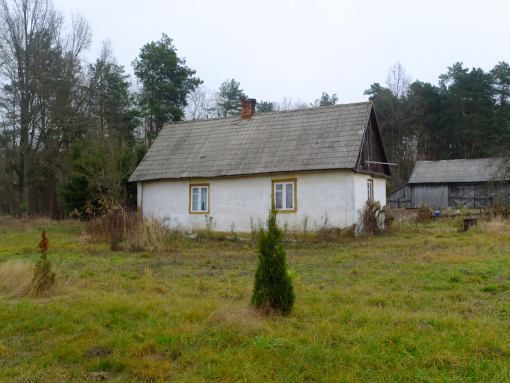 Stanisława umierała w męczarniach. Głodziła ją własna córka [GALERIA] 