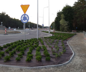Budowa buspasów w Myślęcinku